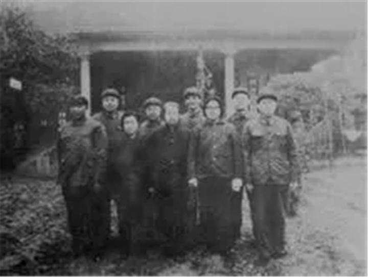 久久看最新,关于久久看最新的探讨（科普文章）