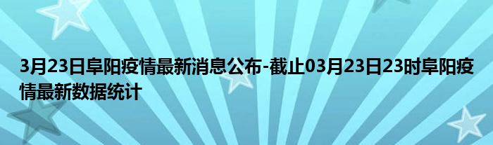 阜阳疫情最新进展，逆风翱翔，知识重塑自信与希望
