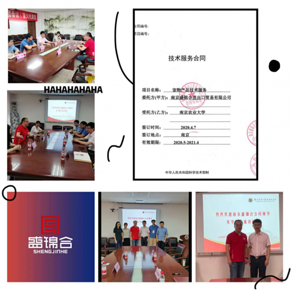 涉黄问题警示，毛片最新首页相关内容并不合适