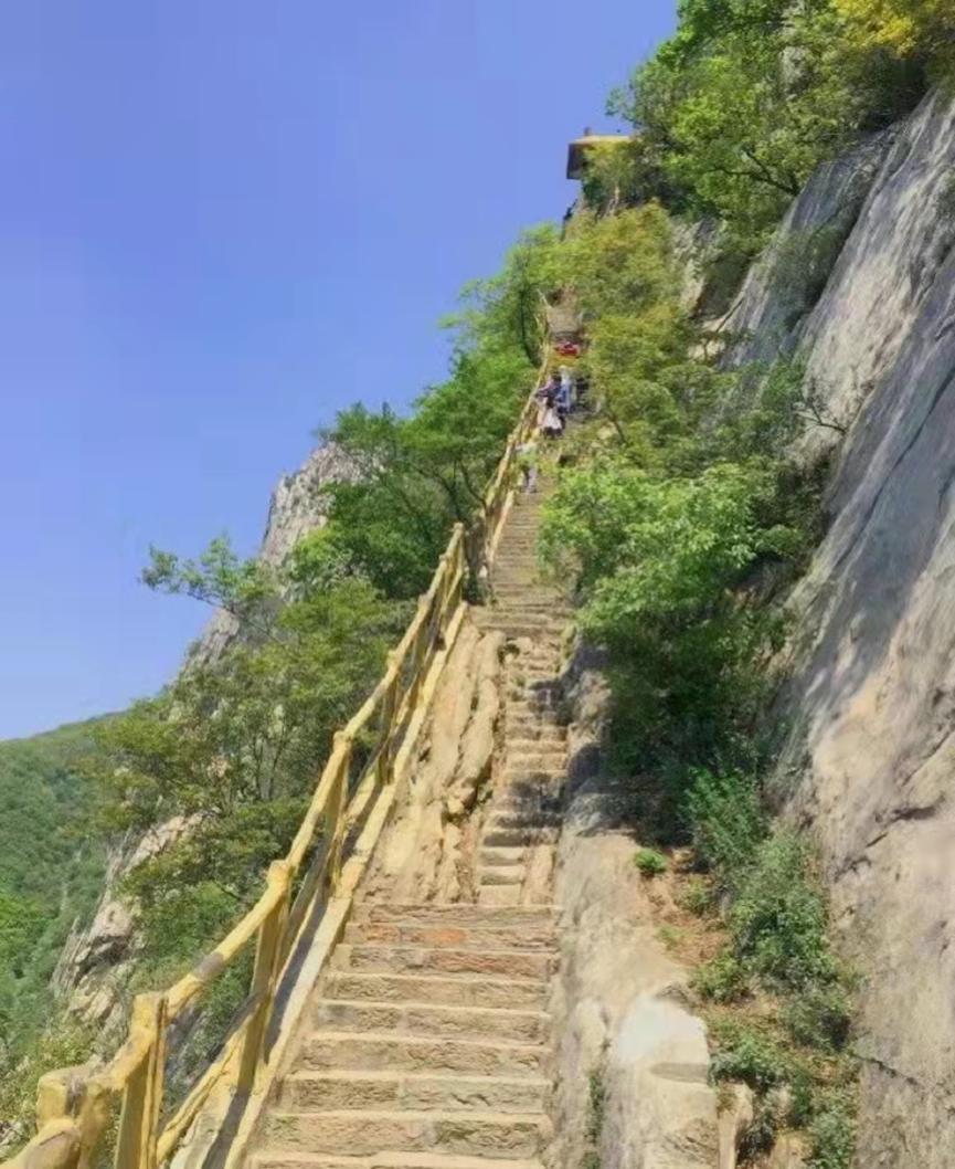 以太森林最新探秘，小巷隐秘宝藏与独特环境魅力