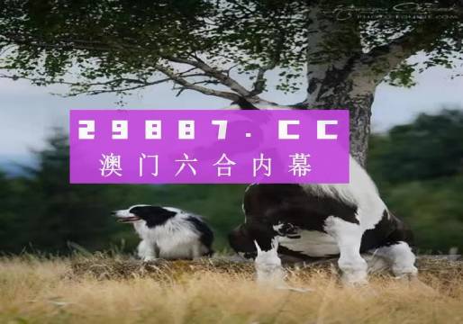 2024今晚澳门跑狗图,数据导向计划_旅行版28.373