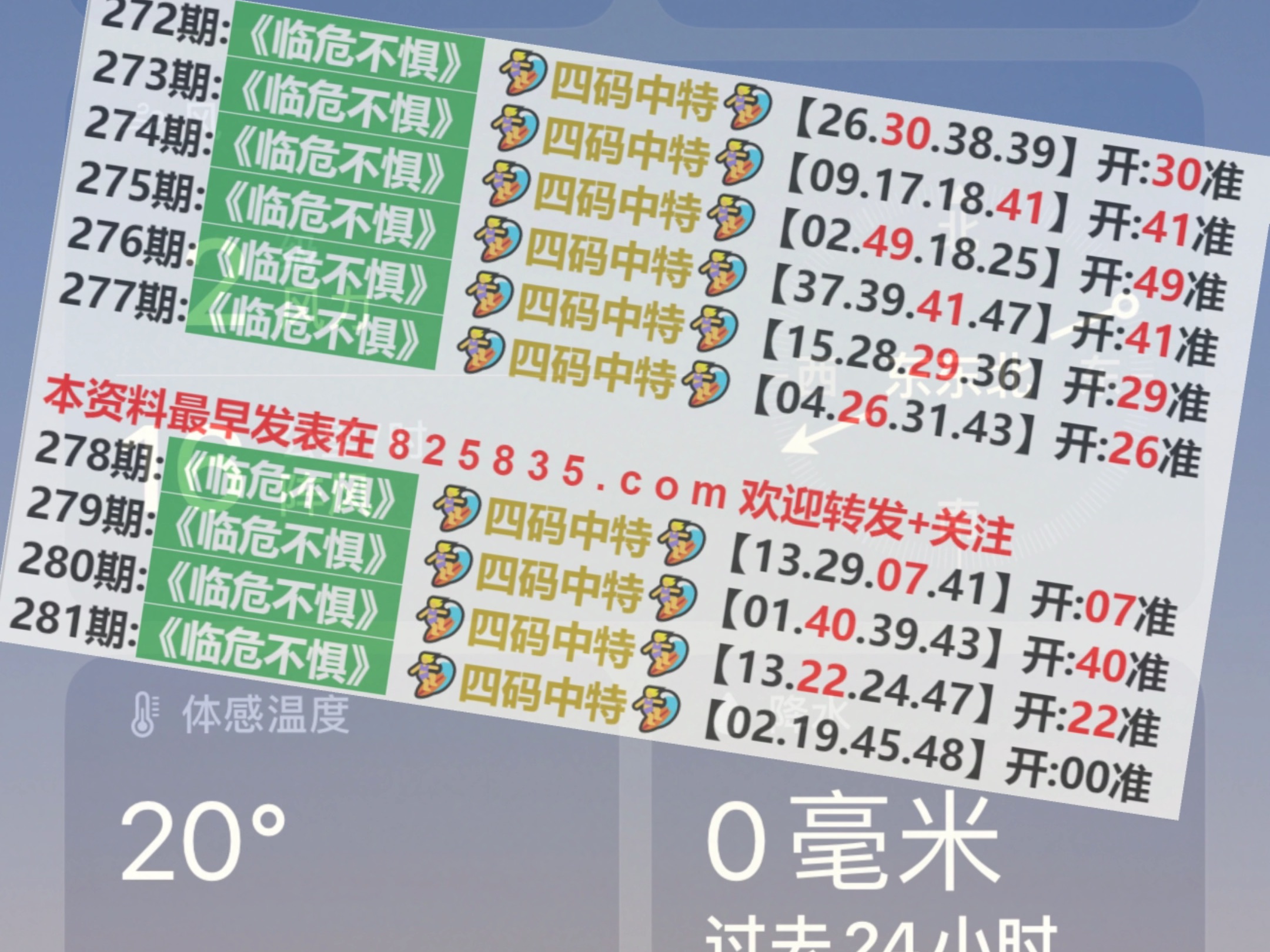 第1194页