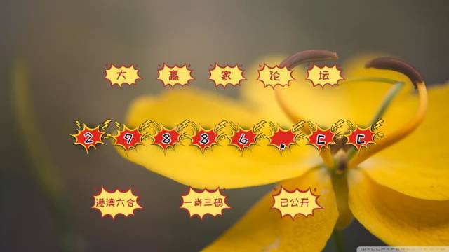 4949开奖免费资料澳门,连贯性方法执行评估_内容创作版19.362